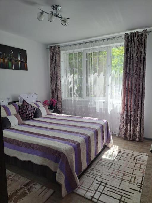 Casuta Cu Povesti Apartment Cîmpina Luaran gambar